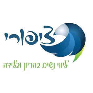 3121d0_fa6e75a10adc4d87837ea4adf1343946_mv2